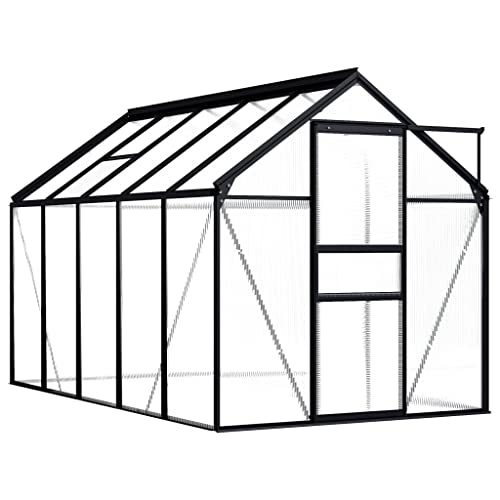 DINDING Greenhouse Anthracite Transparent Aluminum in Professional 63.4 Square Feet Polycarbonate Structure with Roof Vent for Professional Year Round Harvesting