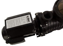 Rx Clear Mighty Niagara 1.5 HP Variable Speed I/G Pump