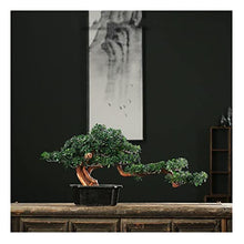 YXIANG56Q Fake Plants 24'' Large Artificial Bonsai Tree in Ceramic Pot, Potted Fake Greenery Plants Decoration for Home Office Living Room Bonsai Tree