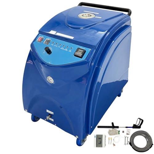 WYDDDARY 220V 1PH Commercial Electric High Pressure Steam Car Washer, 6-13Bar Steam Pressure, 18L Water Tank for Interior Cleaning, Compartment Cleaning etc.