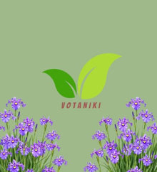 Votaniki Purple Dragon's Valley Pseudata Iris #1 Size Bare Root with Reddish Purple Blooms for Rain Gardens Borders Cut Flowers Mass Planting and Moist Garden Areas