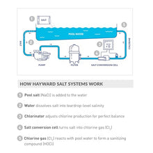 Hayward Aquarite Salt Chlorine Generator for Swimming Pools 25,000 Gallons