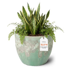 Emissary Home and Garden 18.5in. L x 15.5in. H Reef/Spa Blue Stoneware Round Planter with High-fire Treatment (Set of 1)