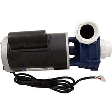 0800-390000 Gecko Alliance Pump, Maelstrom, 3.0hp, 230v, 2-Spd, 56fr, 2", OEM