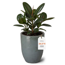 Emissary Home and Garden 22 in. Soft Blue Ceramic Round Planter (22 in. L x 22 in. W x 26.5 in. H) with Drainage Hole