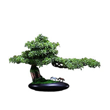 Fake Plants Bonsai Realistic Fake Plant Decoration Artificial Juniper Bonsai Tree with Pony Figurine 19 Inch -20 Inch Tall with Pot for Decoration, Desktop Display, Zen Garden Decor Artificial Plants