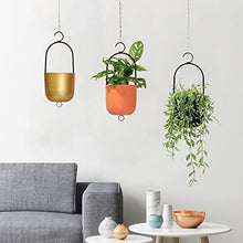 WANGKENSU Hanging Planter Indoor Plant Hanging Planter Pot Modern Flower Pot Home Decor Hanging Plant Planter Metal Plant Vase with Hooks Suitable for Indoor and Outdoor Plants (Color : 1) (1)