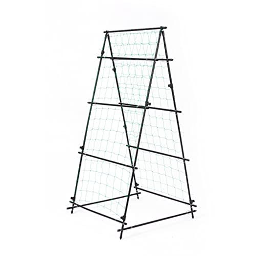 Garden Metal Climbing Plant Support, Tubular Structure 1.8m Flowers Steel Weather Resistant Powder Coating Frame Stand Growth Support(