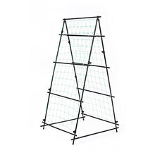 Garden Metal Climbing Plant Support, Tubular Structure 1.8m Flowers Steel Weather Resistant Powder Coating Frame Stand Growth Support(