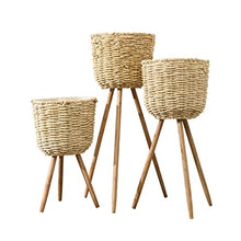 Plant Stand Plant Pots Floor Plant Pot Stand Wickerwork Flower Pot Holder Display Potted Rack Decor Garden Pots Planters Home Decor Plant Vase Plant Containers (Color : M)
