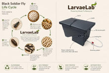LarvaeLab Black Solider Fly Composter- Easy Set up Design, Efficient and Low -Maintenance, Turn Your Food Waste into Rich Organic Soil, high -Protein Animal Feed Two Sets