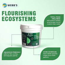 Pond Muck and Sludge Remover Treatment - Beneficial Bacteria Pond Cleaner and Sludge Removal Tablets for Fish Ponds and Lake Applications - 400 Tablet Container