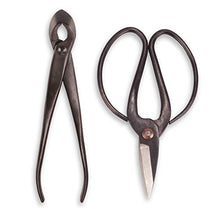 BambooMN Bonsai Basics Set - 8" Concave Cutter, 7" Heavy Duty Shear - 30 Sets
