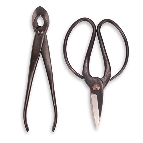 BambooMN Bonsai Basics Set - 8" Concave Cutter, 7" Heavy Duty Shear - 30 Sets