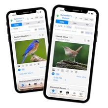 Haikubox Bird Song & Call Identifier: 24/7 backyard sound identification