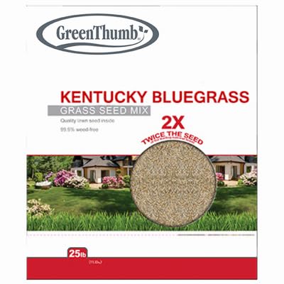 25 Lbs 85/80 Kentucky Bluegrass Grass Seed Mix - Pack of (4)