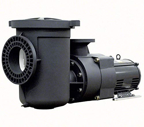 Pentair Pool Pump 10 HP 230-volt