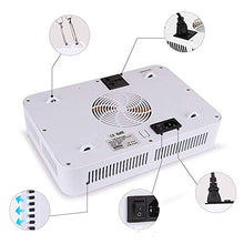 5sssallefaa Full Spectrum LED Grow Light 600W Growing Lamp Indoor Hydroponic Greenhouse LED Plant All Stage Growth Lighting for Flowers Vegetables Garden Plants Green Lighting