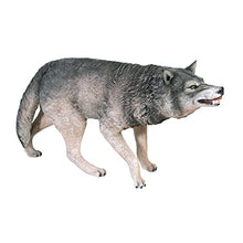 Design Toscano Call of the Wild Growling Gray Wolf Statue Full Color