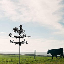 Weathervane Cock Wind Vane Stainless Steel Weather Vane Retro Weathercock Direction Indicator Garden Mount Yard Decoration (Style 1) (Style 2)