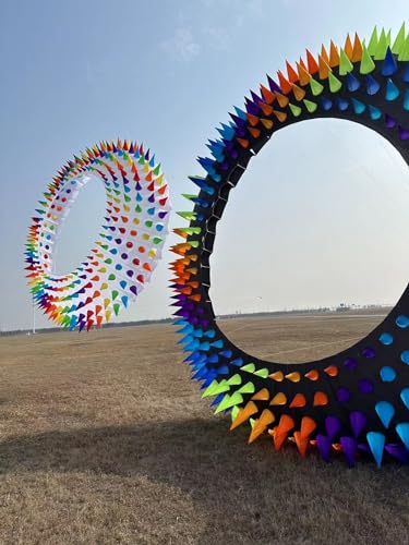 TiffyDance 20 Ft 3D Color Circle Kite Black