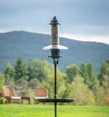Complete Bird Feeding Station with Squirrel Buster Plus Squirrel-Proof Bird Feeder, Pole, Weather Guard & Seed Catcher Tray, Installed Height 7ft 2in