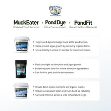 Bjornsen Natural Pond Treatment Pack Blue, One Acre, Complete Pond Care