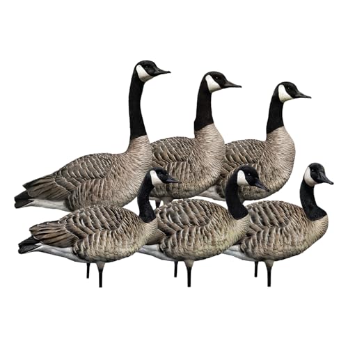 Avian-X AXP 6 Piece Honker Sentry Goose Decoy Set