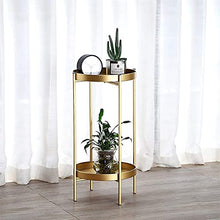 RWGOVLU Plant Stand Plant Stand 2 Tier Metal Outdoor & Indoor Potted Flower Stand Display Shelf for Home Garden Patio