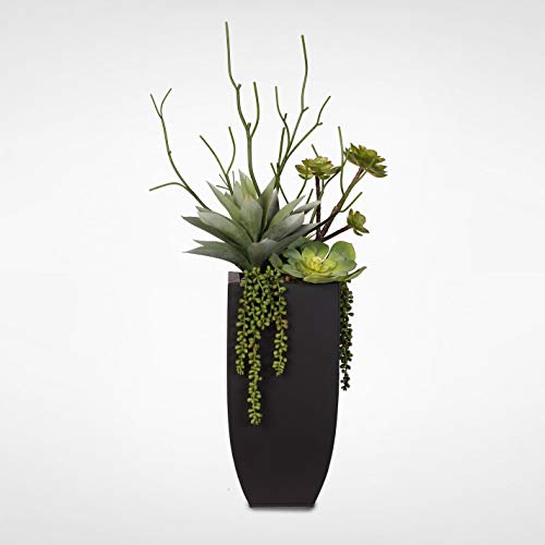 Misc Botanical Succulent Variety in A Tall Black Modern Metal Planter