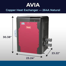 Raypak Avia 264K BTU Natural Gas Pool Heater for Inground Pools Gas Pool and Spa Heater with Copper Heat Exchanger, Built-in WiFi, 120/240V (018032)