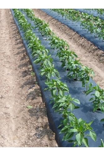 Greenhouse Mulch Cover 0.70 x 1000 Meters - Weed Control Fabric for Gardens and Agriculture