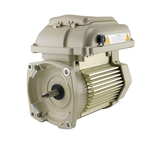 Pentair Superflo 342001 Motor/Drive Assembly Almond
