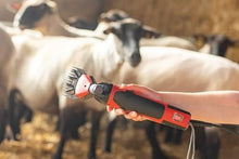 Kerbl Professional 6-Speed Sheep Shear with Farm Clipper, 350 Watts