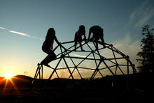 Lifetime Geometric Dome Climber Play Center Earthtone
