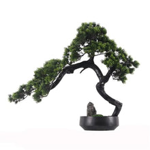 DUYHBAWRS Chinese Welcome Pine Bonsai Green Plant Living Room Hotel Home Entrance Decoration and Decorations