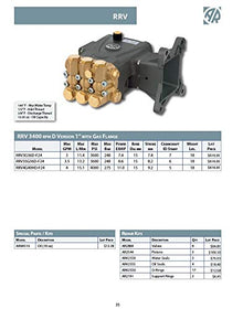 AR ANNOVI REVERBERI RRV3G36D-F24 High Pressure Washer Pump, 3 GPM, 3600 PSI, Metallic