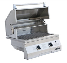 Solaire 27-Inch Basic InfraVection Propane Built-In Grill, Stainless Steel