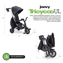 Joovy Tricycoo UL 8-Stage Kids Tricycle Forged Iron