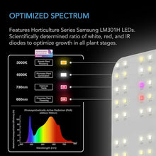 AC Infinity IONBOARD S44, LED Grow Light Board 4x4 with Dimming Control