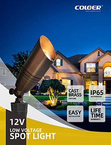 COLOER 12 Pack Brass Landscape Spotlights Outdoor with 5W MR16 Bronze(102B)