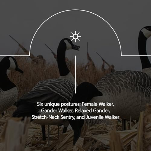 Avian-X AXP Honkers Full Body Canada Goose Decoys Fusion Pack Multicolor