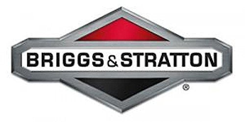 Briggs & Stratton Kit-piston Part # 193990GS