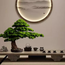 Small Bonsai Tree Simulation Chinese Bonsai Living Room Study Simulation Plant Decoration Office Plant Decoration Porch Decoration Fake Bonsai Fake Plants (Size : A:45x65x20cm)