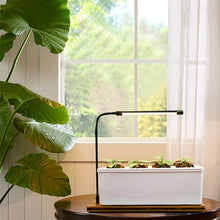 Home Indoor Kitchen Garden Hydroponics Growing System Smart LED Grow Light Kit for Both Outdoor & Indoor Plants & Gardening Kits for Home Kitchen
