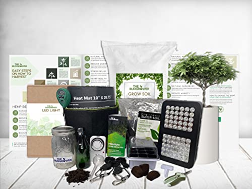 THEBUDGROWER Complete Grow Tent Kit - 300 Watt LED Grow Light, Rope Hangers, Grow Plant Pot Soil, Heat & Humidity Monitor, Electronic Timer & More - Easy Indoor Setup Grow Kits