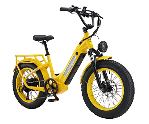 YinZhiBoo Electric Bike for Adults 750W Motor Ebike 20" x 4.0 Fat Tire Step-Thru Electric Bicycle Yellow