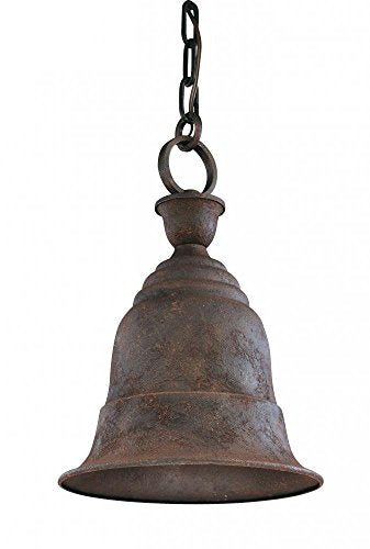 Troy Lighting Liberty-1 Light Outdoor Hanging Lantern-10.5 Inches Wide by 14.5 Inches High