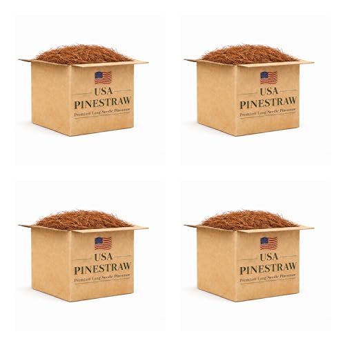 Long Needle Pine Straw Mulch - 160 Sqft Coverage 4 Set - Premium USA Harvested PineStraw for Landscaping, Weed Control, Moisture Retention & Erosion Control - USA Pinestraw