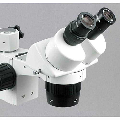 AmScope Binocular Stereo Microscope 20X/40X/80X Magnification Single-Arm Boom Stand